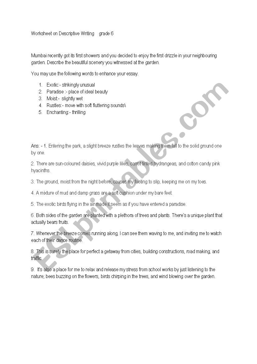 Descriptive worksheet worksheet