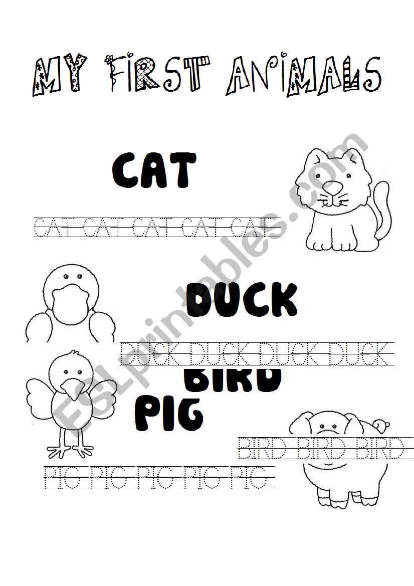 animals worksheet