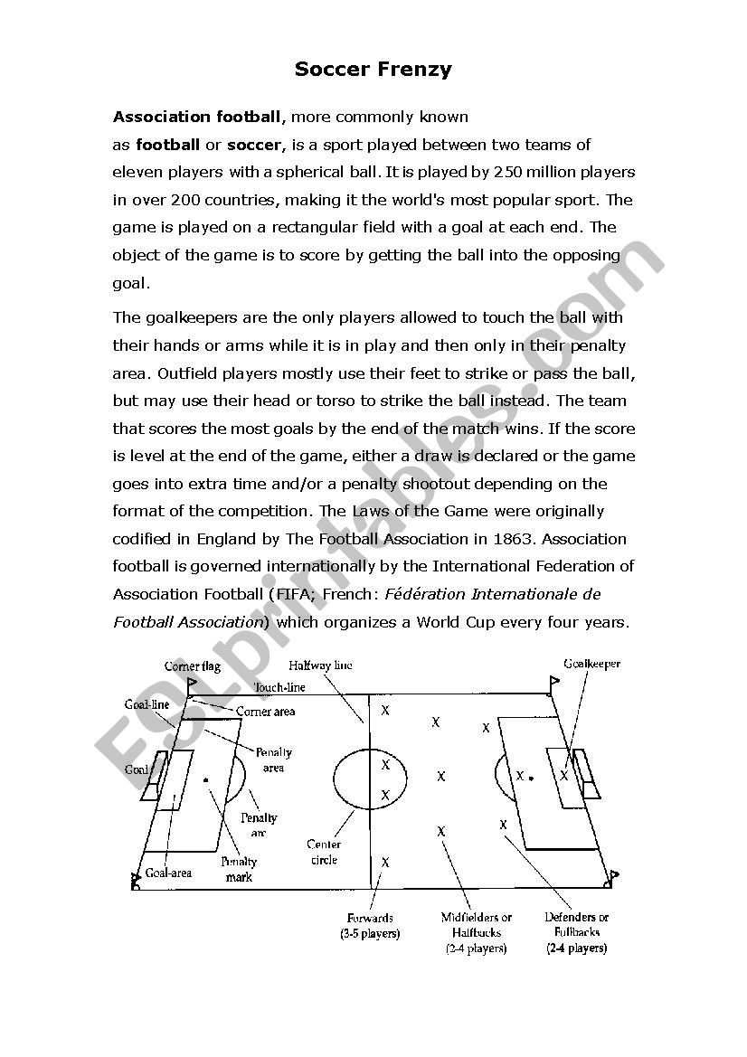 Soccer Frenzy worksheet