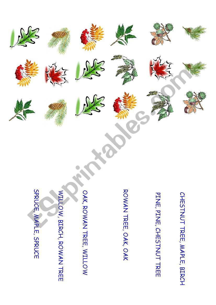 SEQUENCES OF LEAVES worksheet