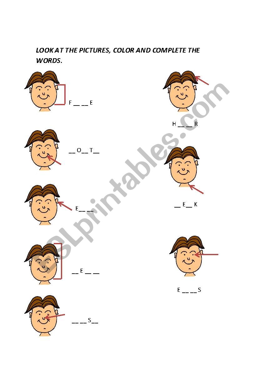 PARTS OF THE FACE worksheet