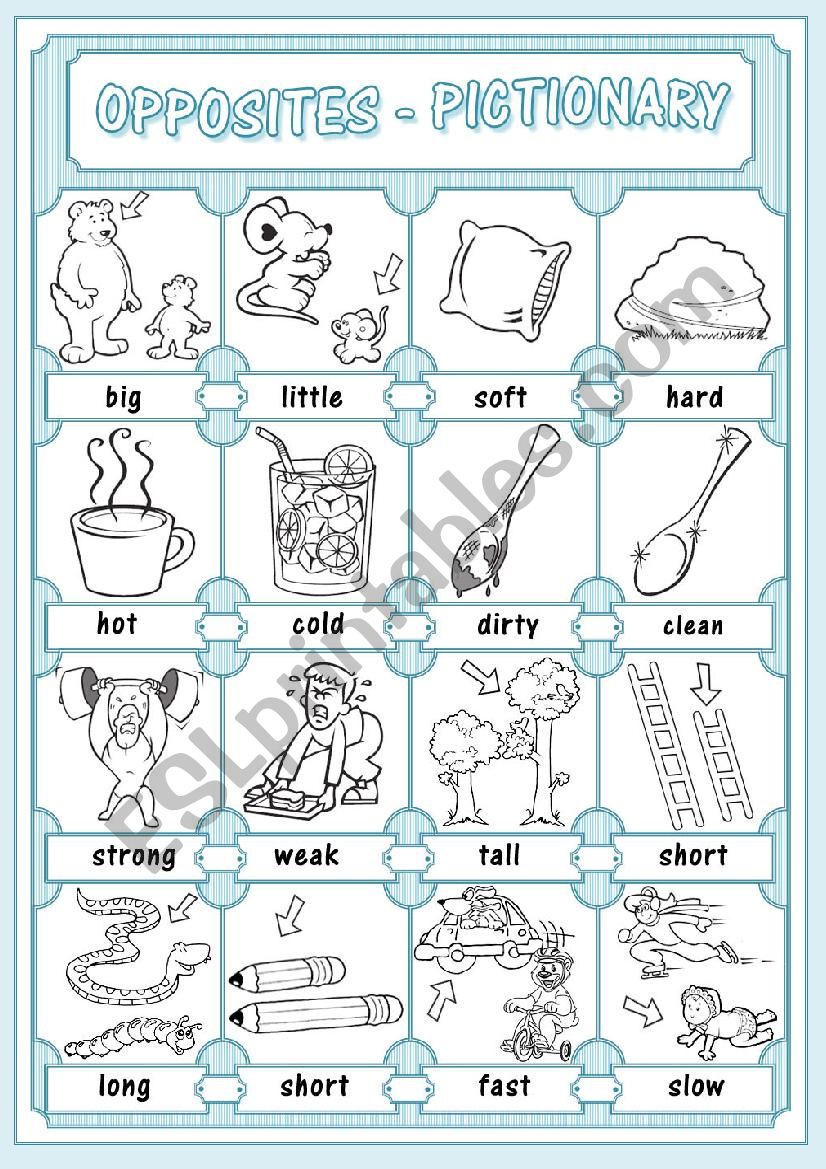 Opposites Pictionary worksheet