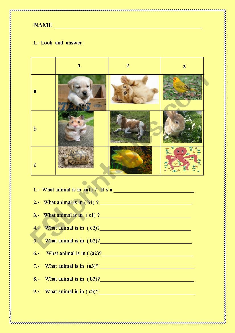 ANIMALS worksheet