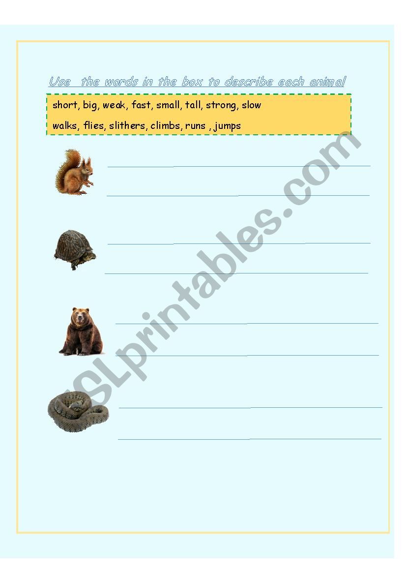 Animals of the forest worksheet