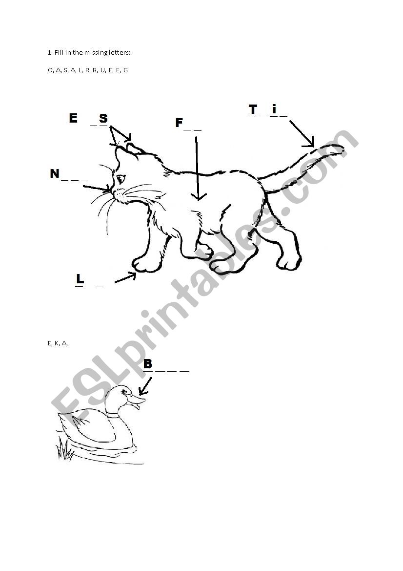 animals - body parts worksheet