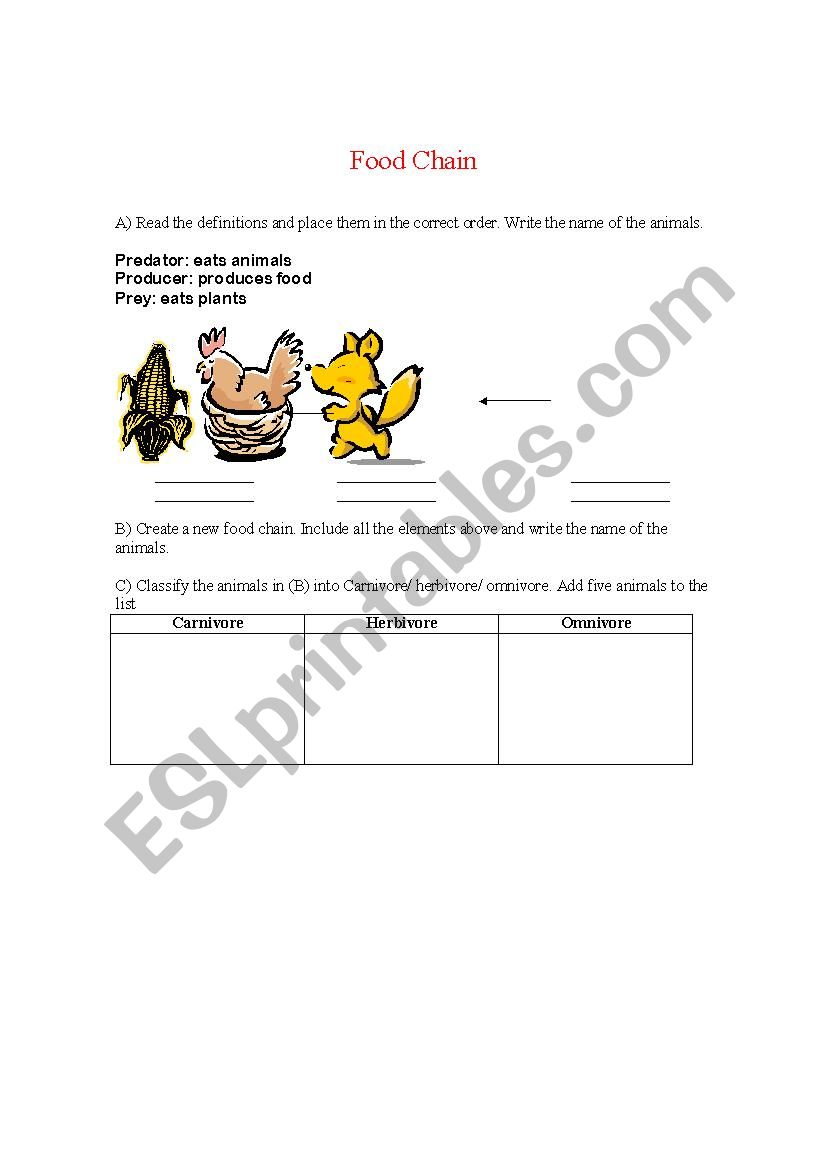 Food Chain worksheet