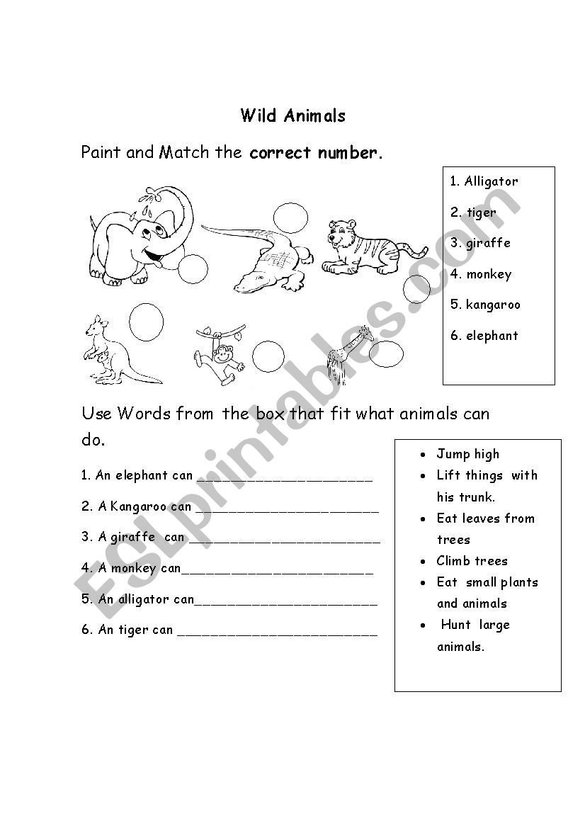 wild animals worksheet