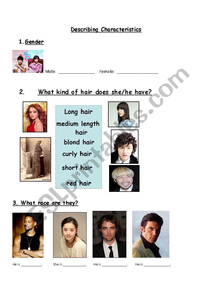 Describing Characteristics worksheet