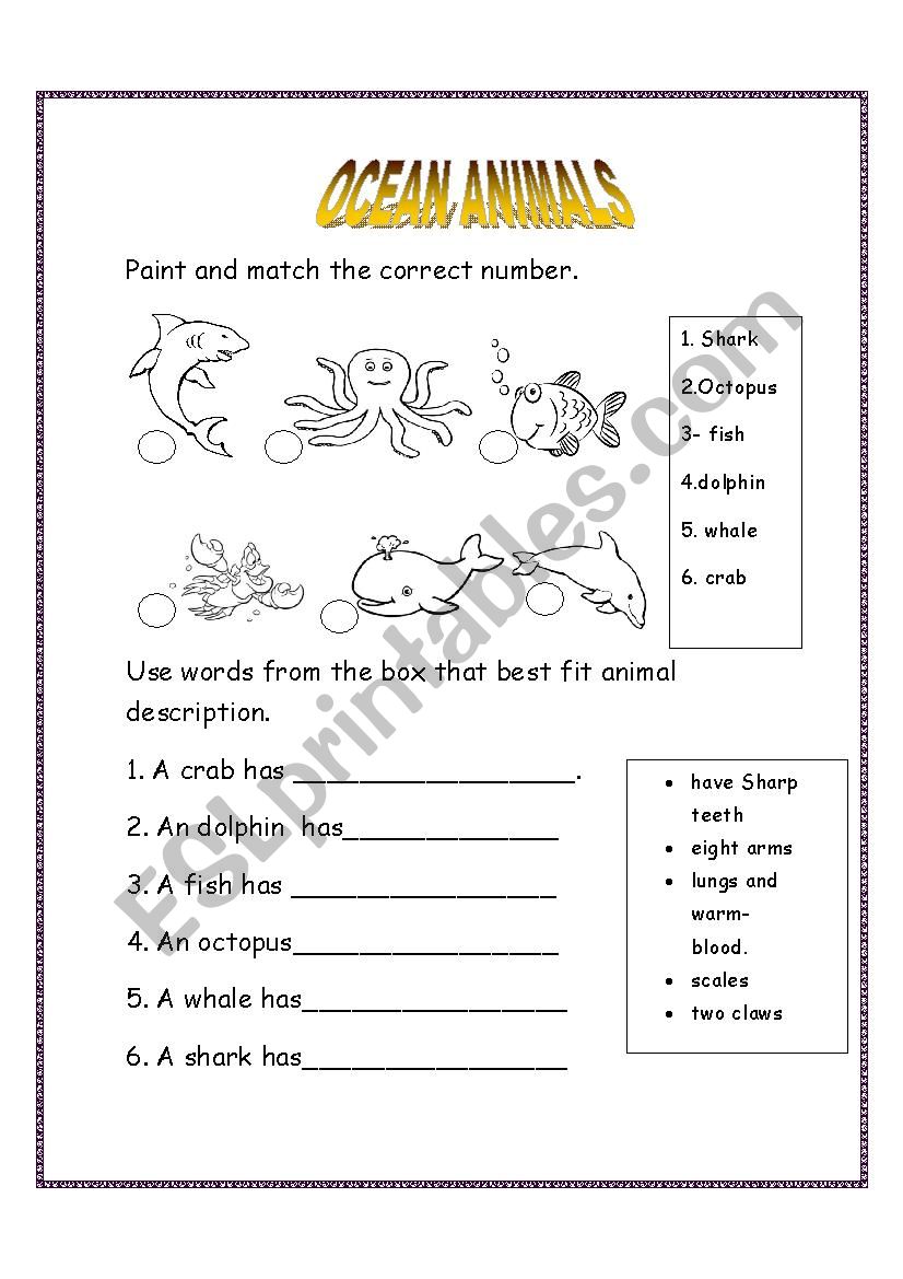 Ocean animals worksheet