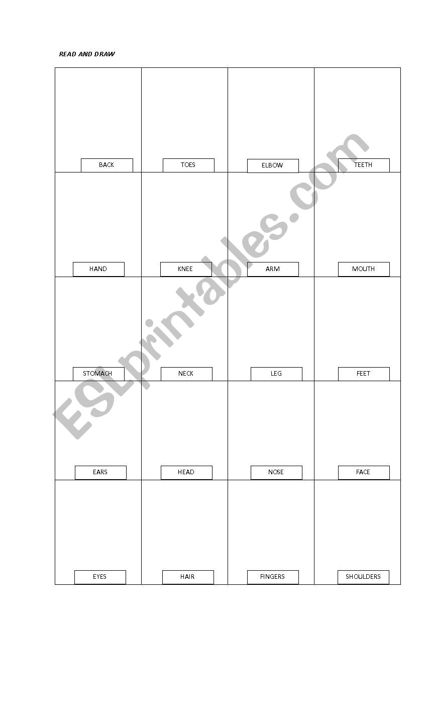 parts of the body  worksheet