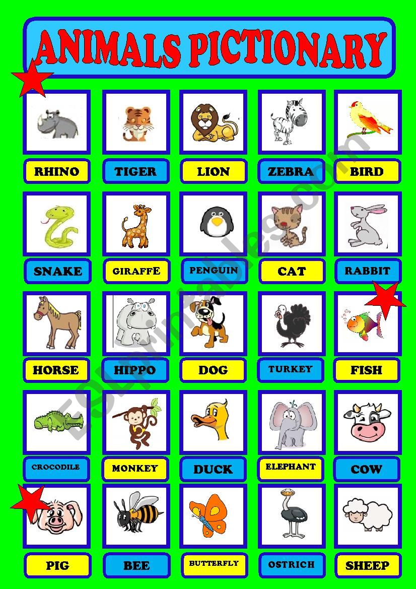 ANIMALS PICTIONARY worksheet