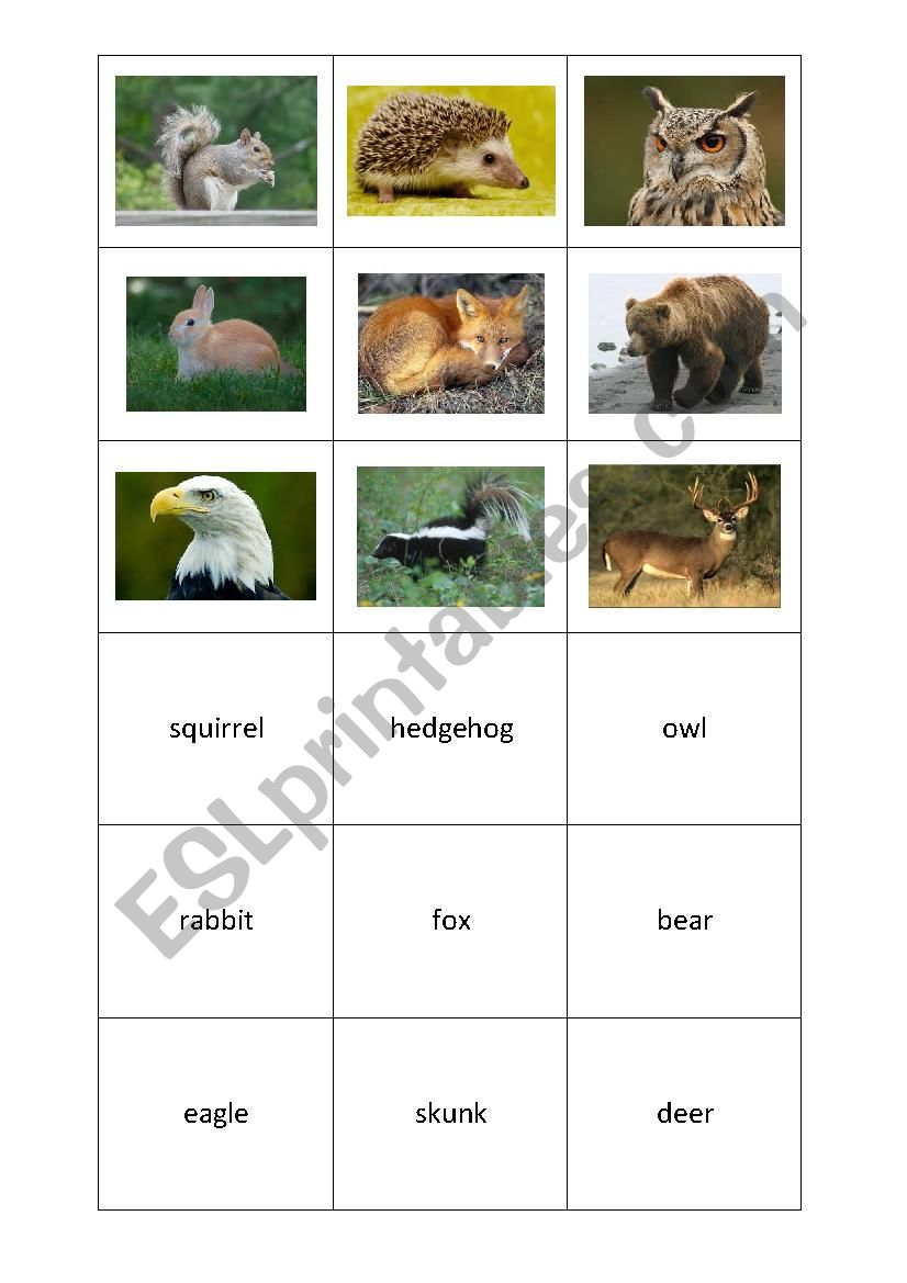 forest animals memory game worksheet