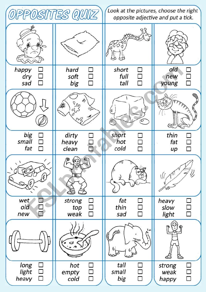 Opposites Quiz worksheet