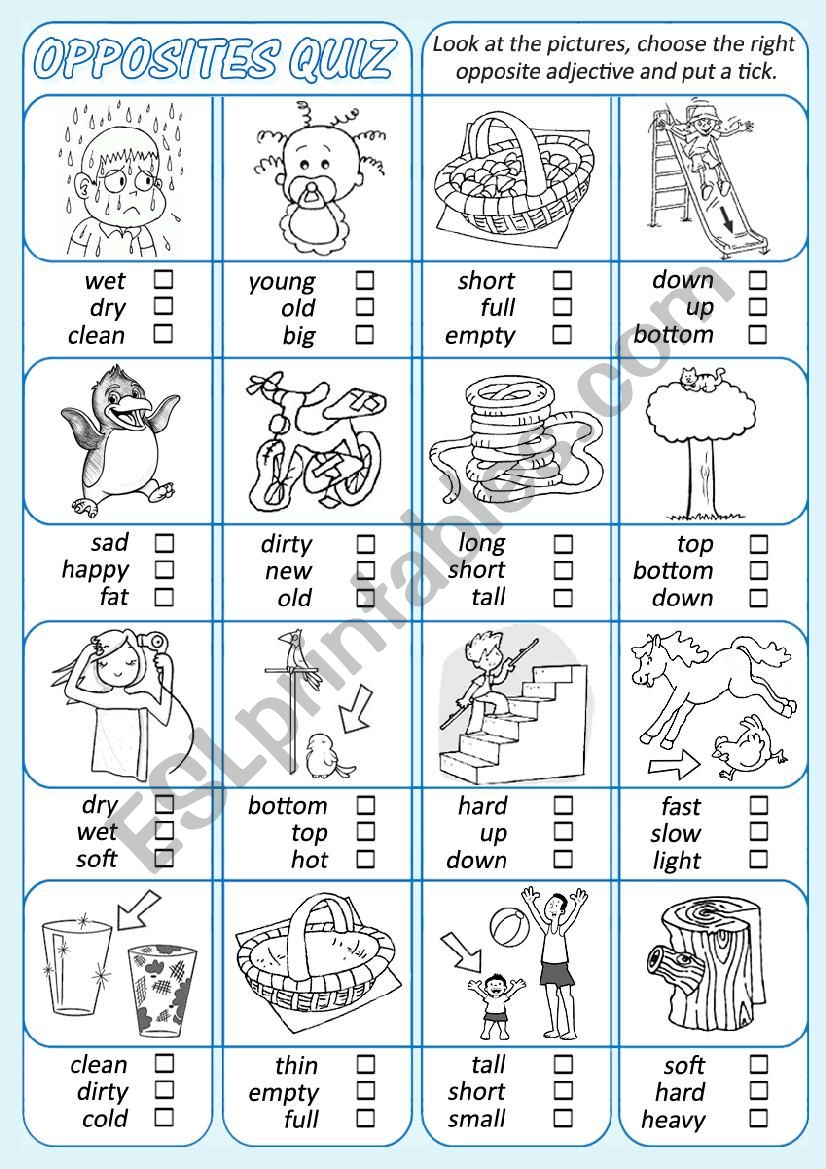 Opposites Quiz *1* worksheet