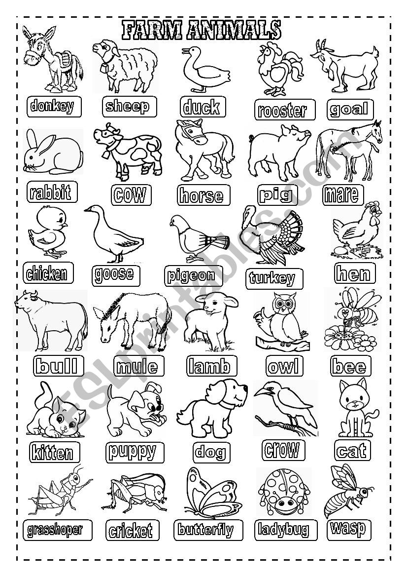 FARM ANIMALS worksheet