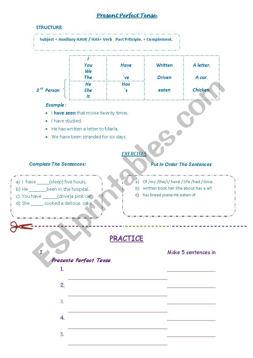 present perfect tense  worksheet