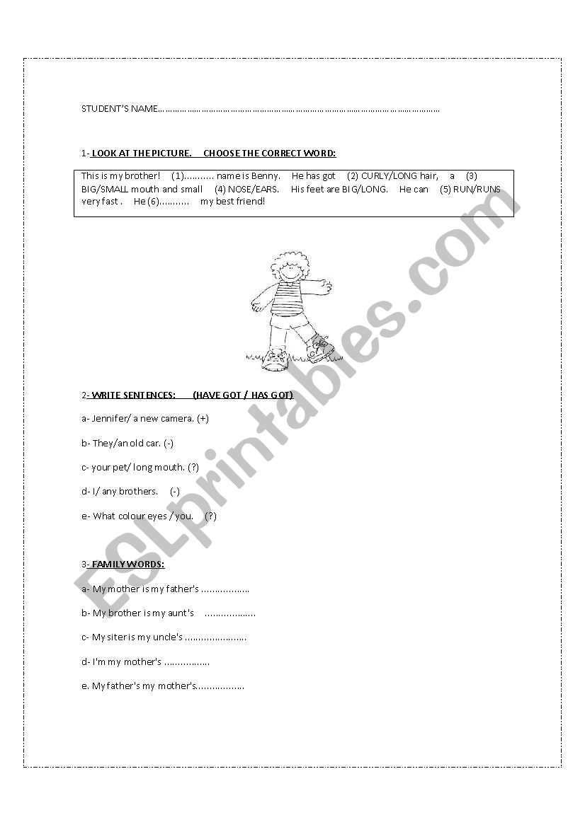 beginners revision worksheet