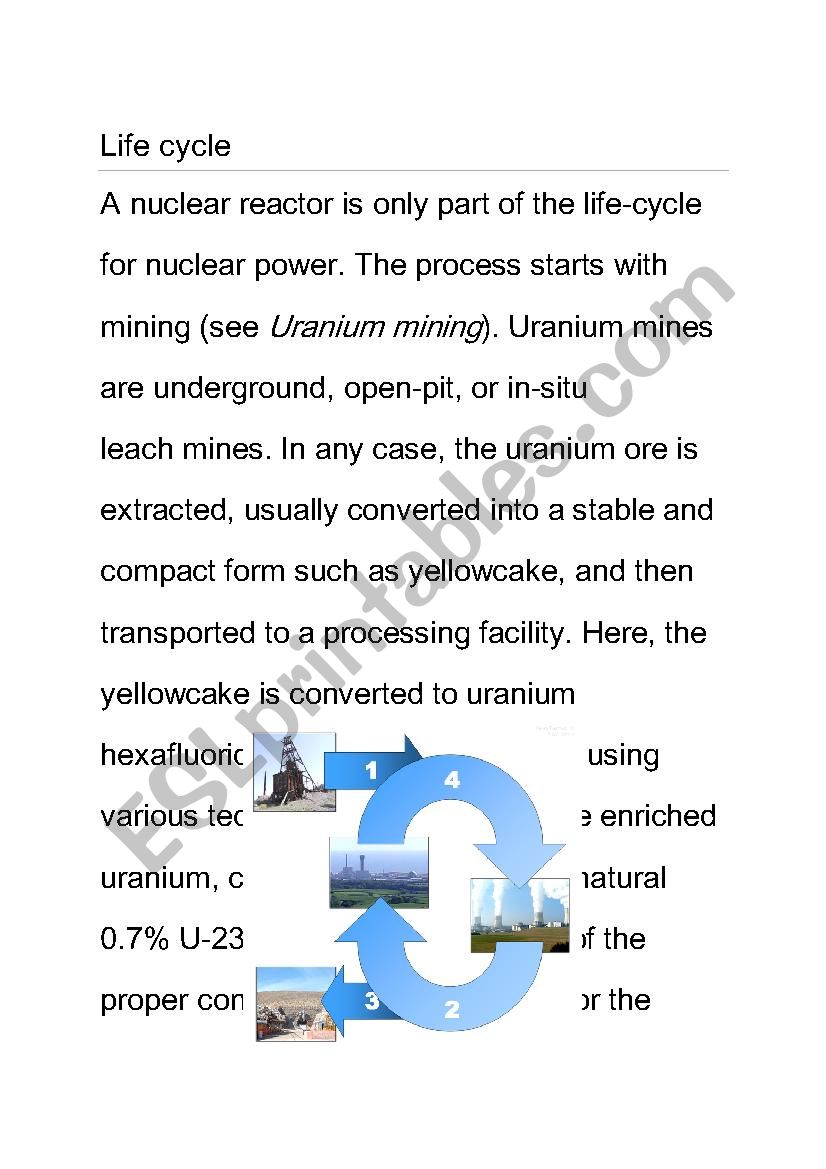 life cycle worksheet