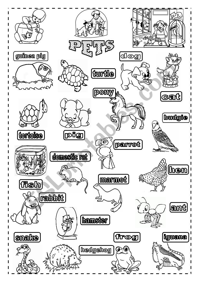 PETS worksheet