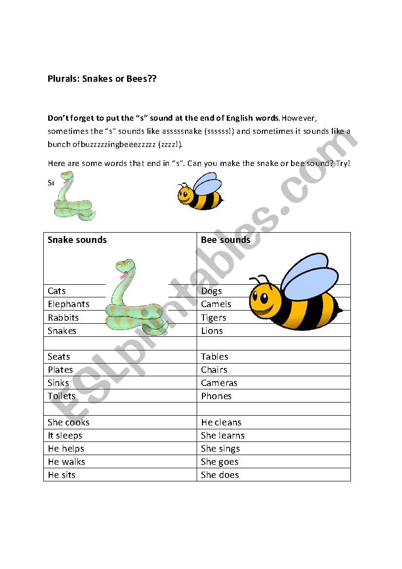 How To Pronounce The Plurals In English Be A Snake Or A Bee Esl Worksheet By Webenra The sound bee hd darkness world. snake or a bee esl worksheet