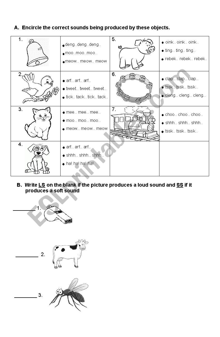 Correct Sounds worksheet