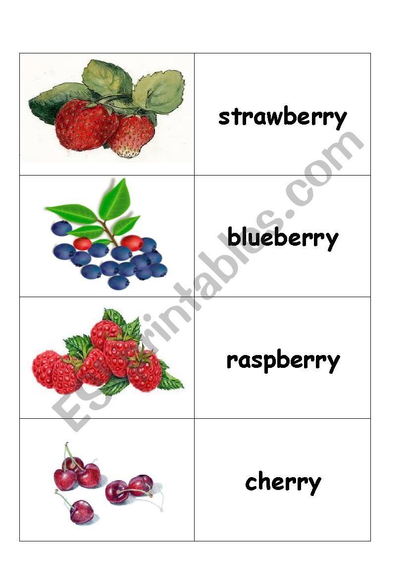 Berry Flashcard worksheet