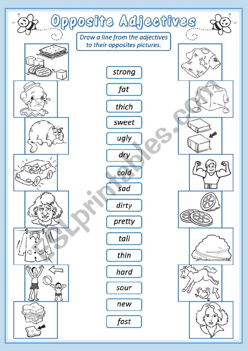 Opposites Match worksheet