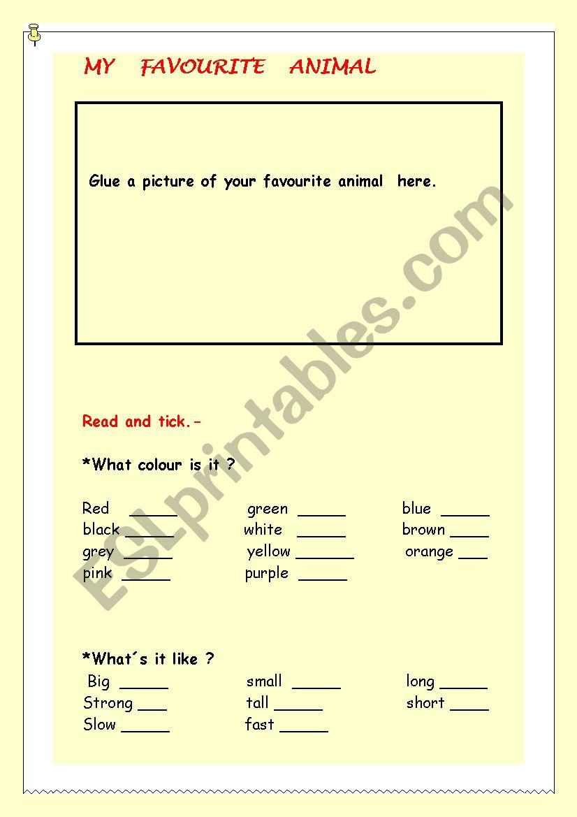   MY   FAVOURITE   ANIMAL worksheet