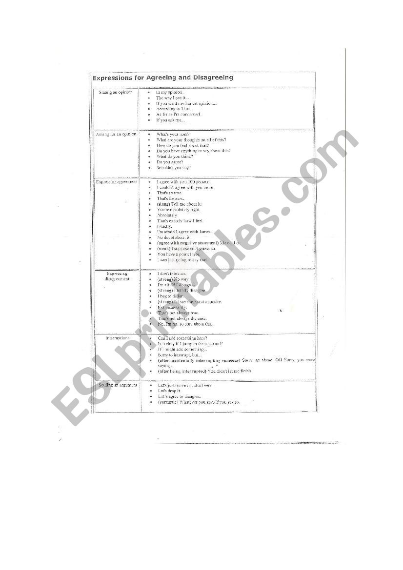 Expressions of opinion sheet worksheet