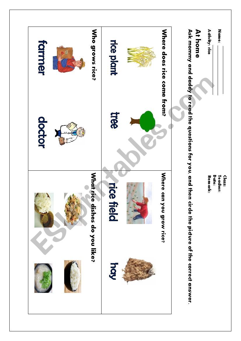 rice  worksheet