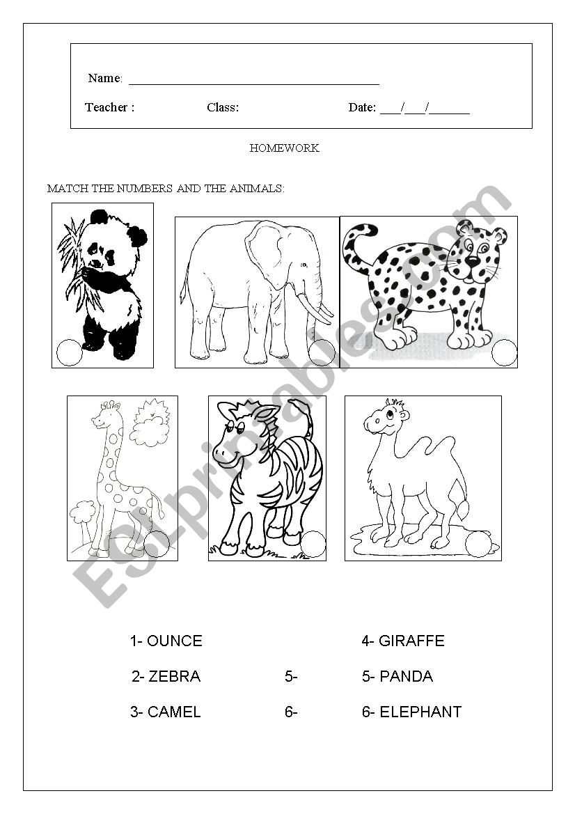 Animals  worksheet