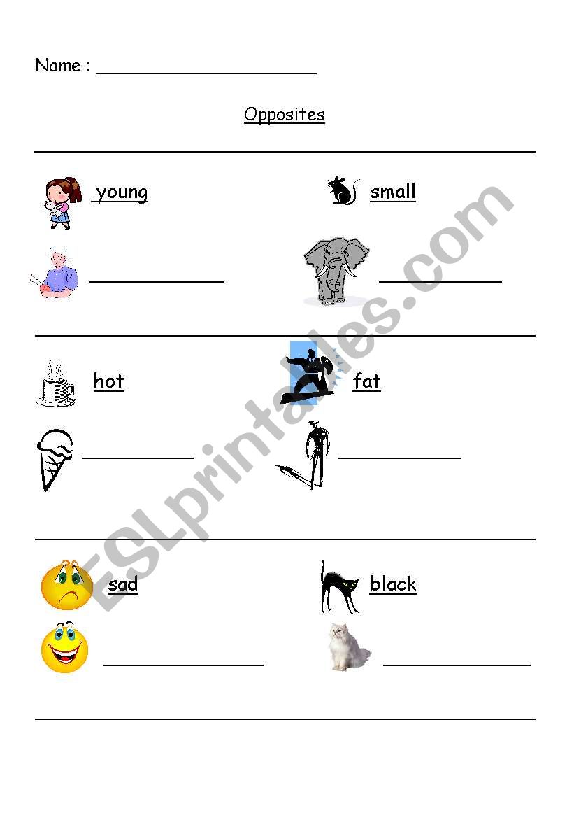 Opposites worksheet