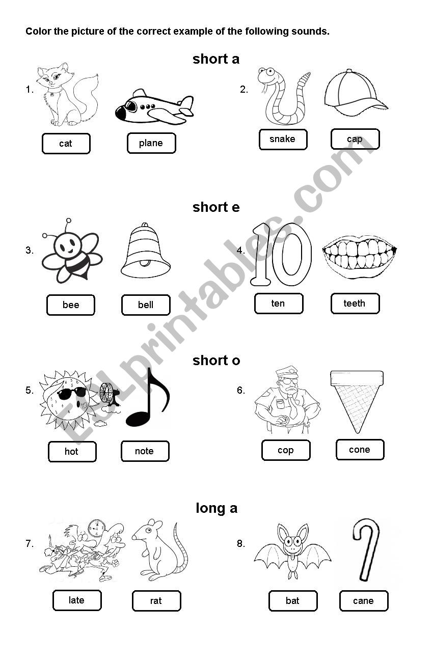 Long Vowels and Short Vowels  worksheet