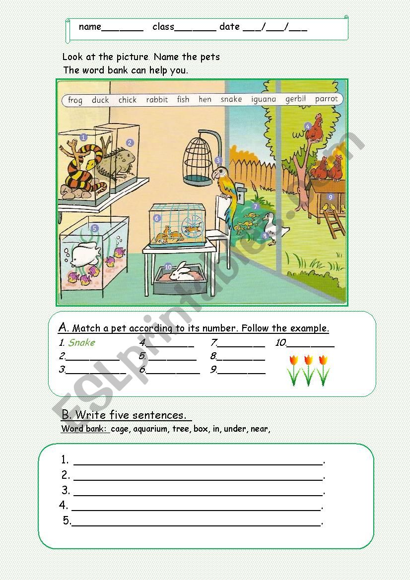 Pets worksheet