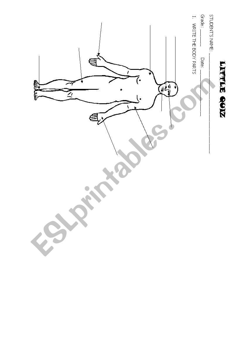 BODY QUIZ worksheet