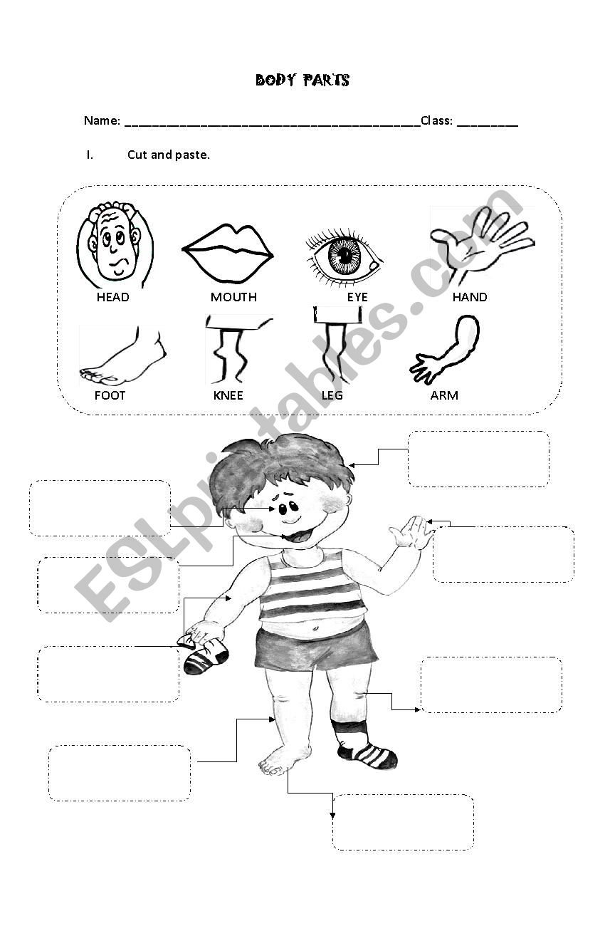 BODY PARTS worksheet