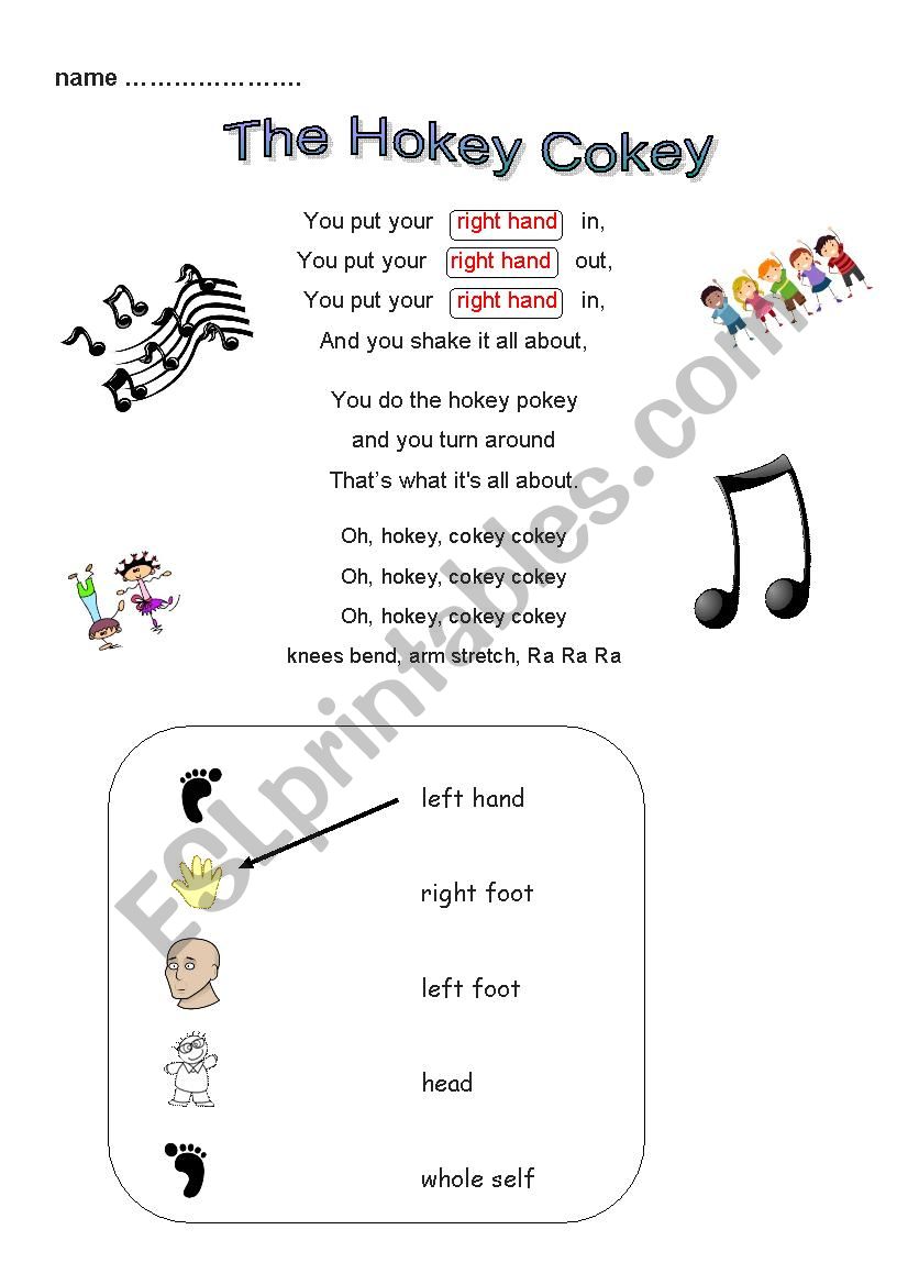 The Hokey Cokey  worksheet