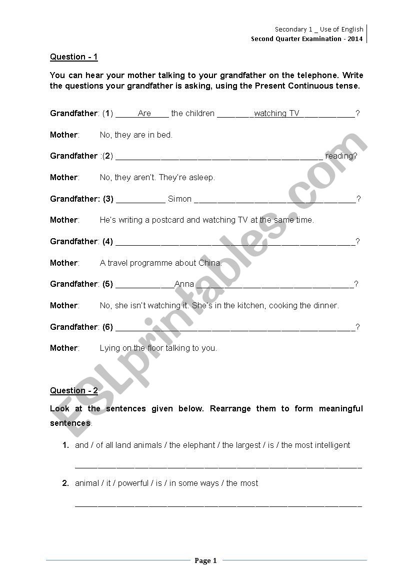 A Grammar Test Paper worksheet
