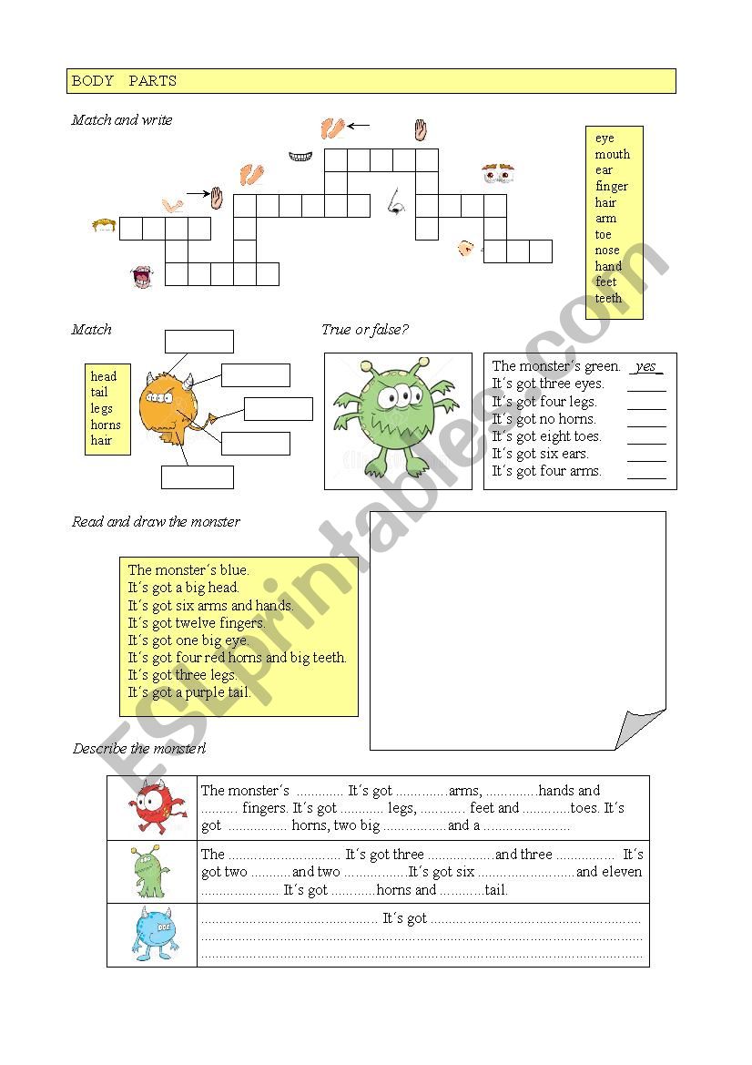 BODY PARTS worksheet