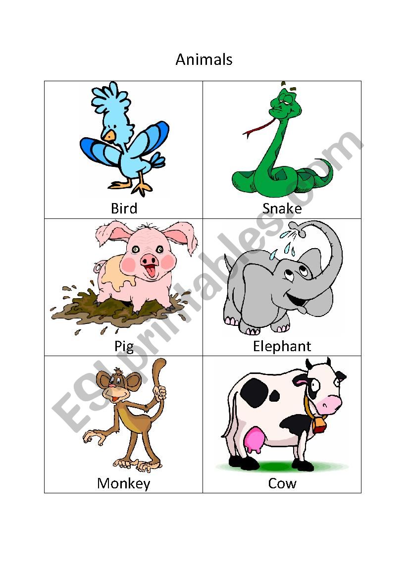 Animals worksheet