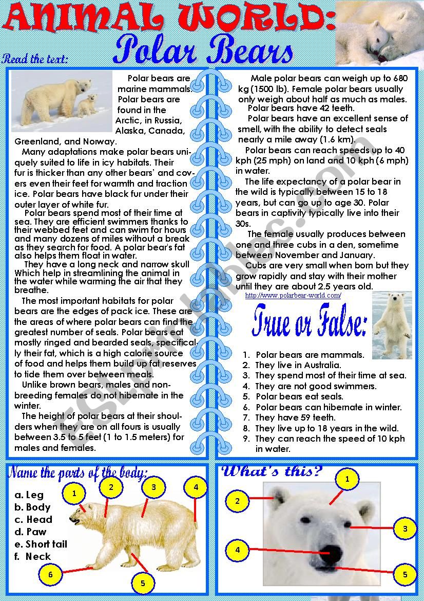 Animal World: Polar Bears worksheet