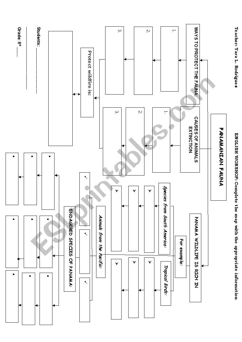 WORKSHOP ABOUT FAUNA  worksheet