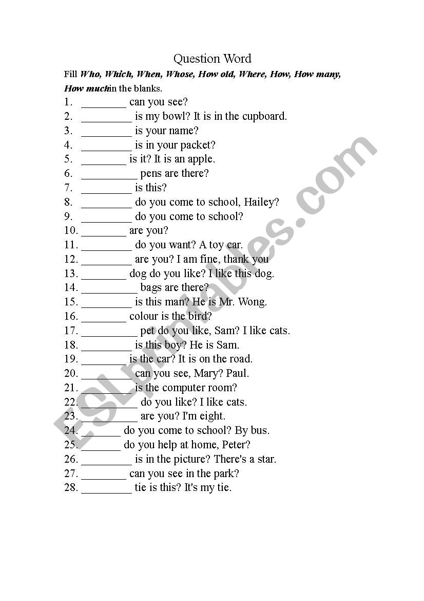 Questions Words Exercises worksheet