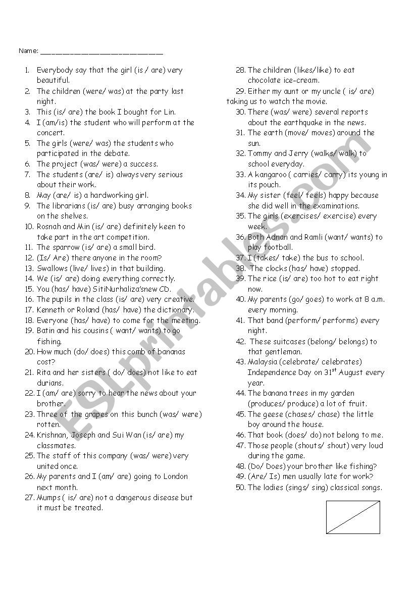 Subject Verb Agreement worksheet