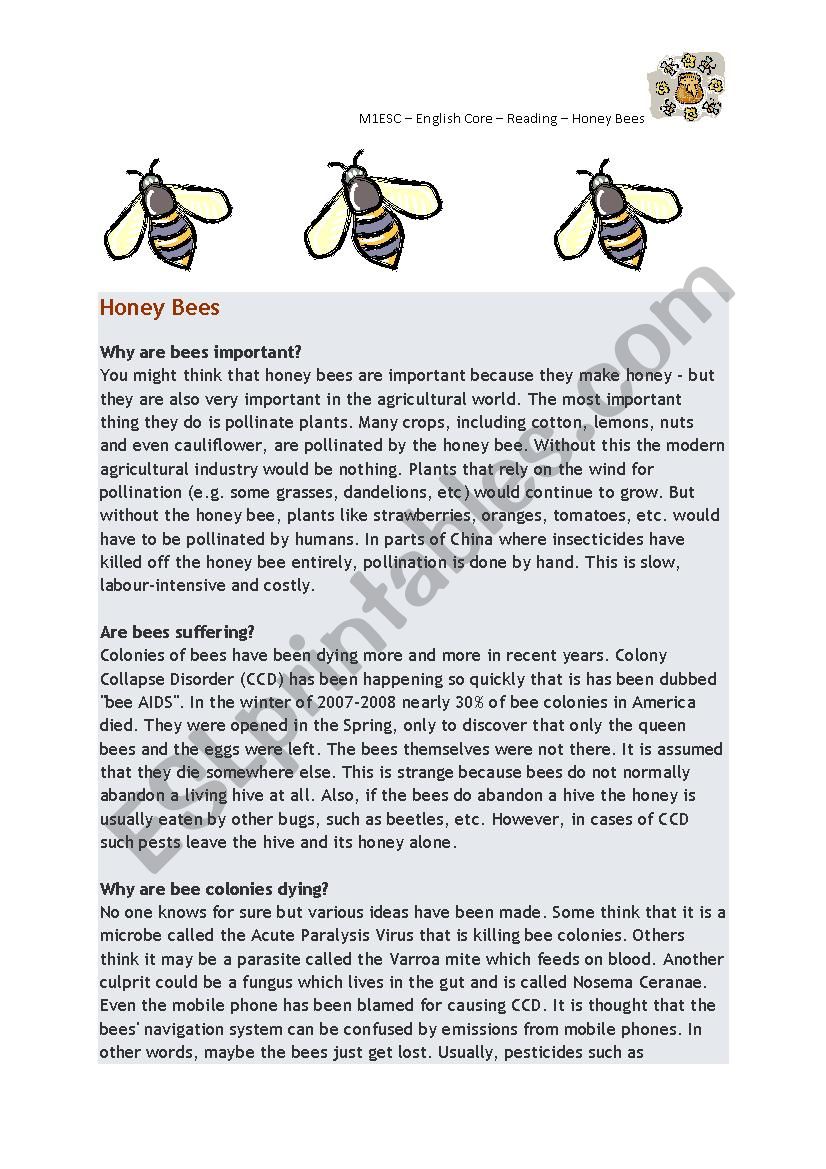 Reading Comprehension - Honey Bees