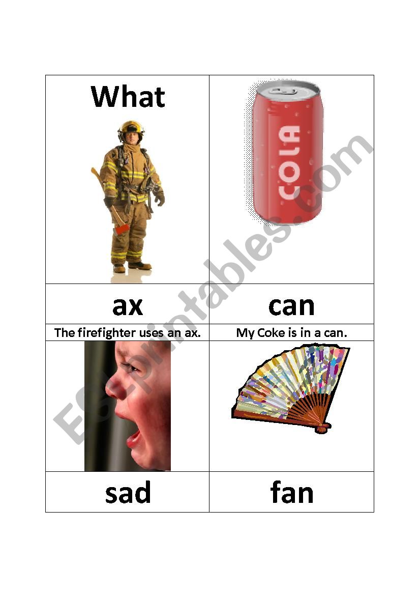 Wonders Grade 1 Unit 1 Lesson 1 Phonics Short a Words/Pictures