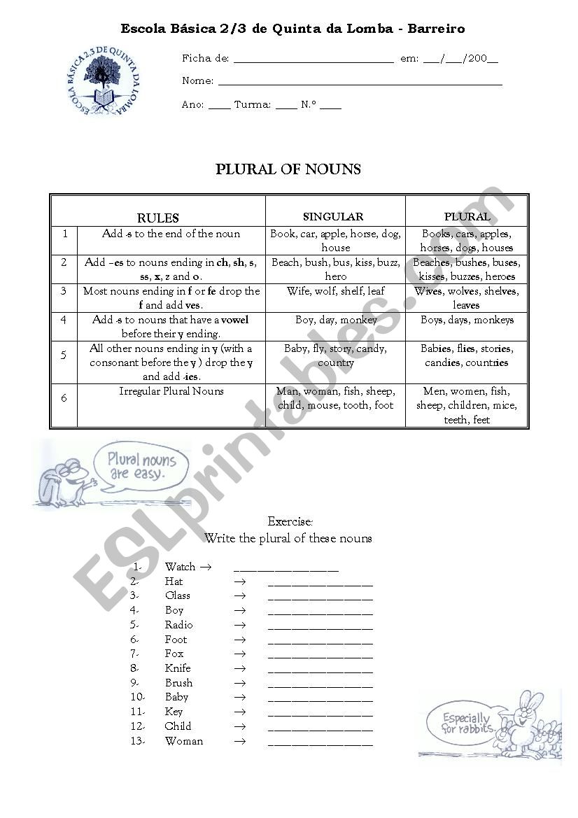 Plural of nouns worksheet