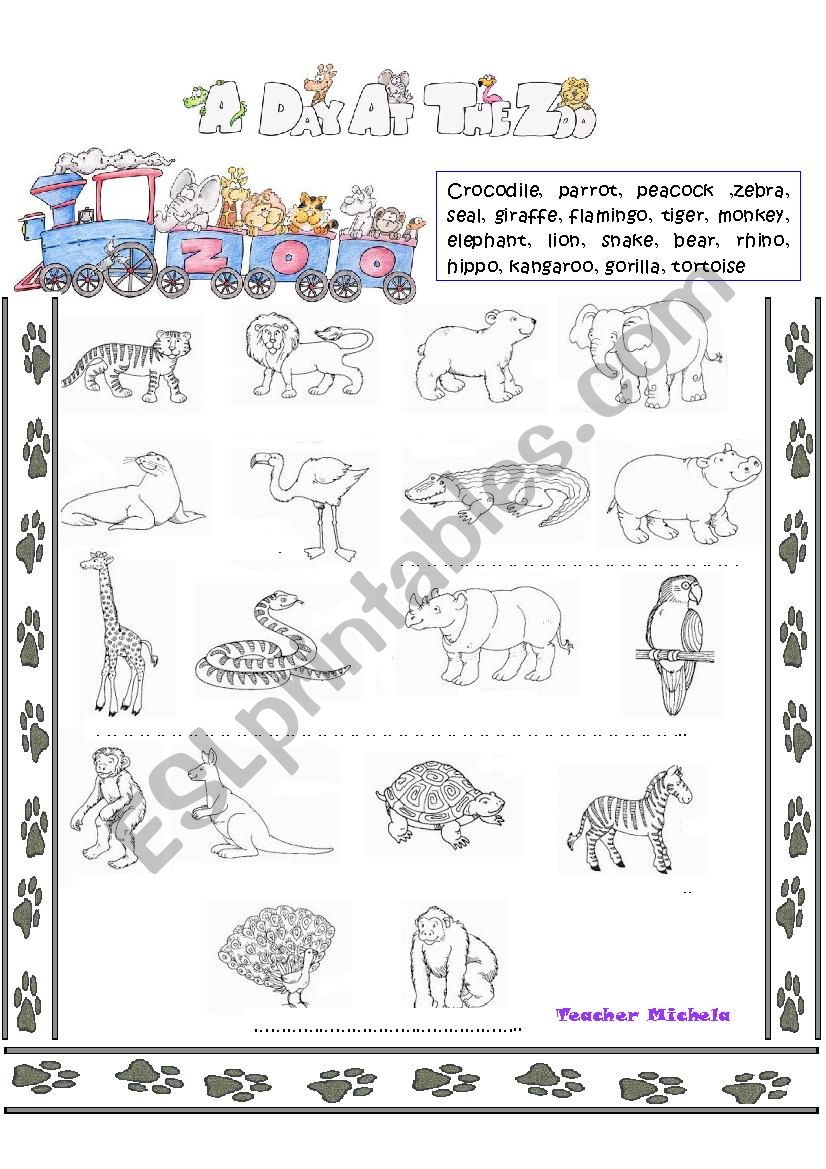 A day at the zoo worksheet