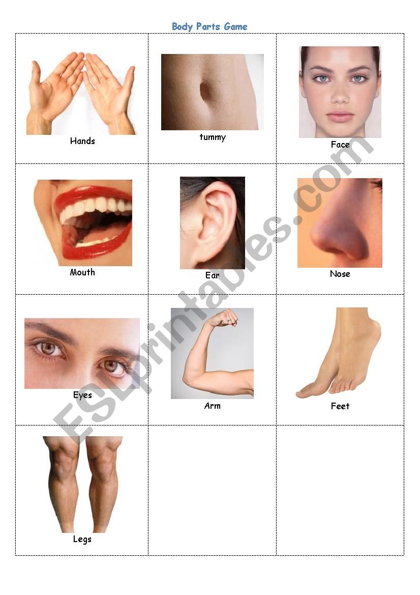 Body parts game worksheet
