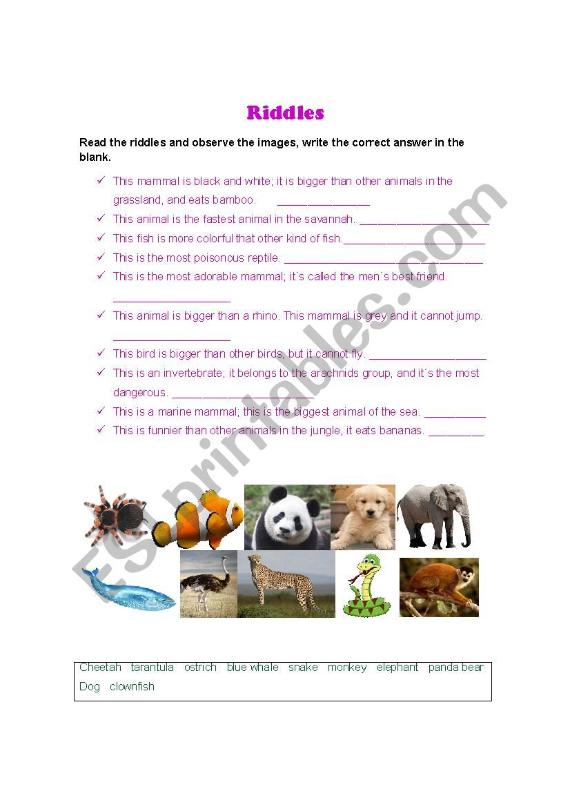 Riddles about animals - ESL worksheet by pages